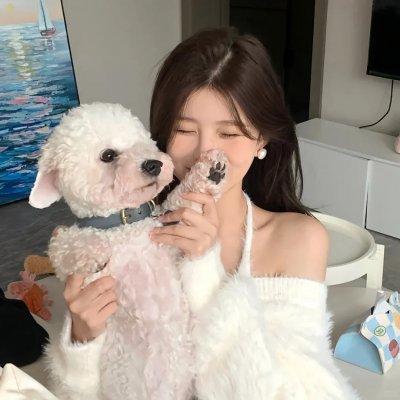 疯狂的狐狸